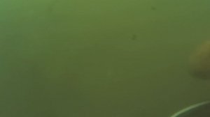 Американский танк в реке Дон! ПОДВОДНАЯ ВОЕННАЯ АРХЕОЛОГИЯ