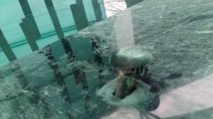 Форсунки стеклоомывателя пежо 407. Часть1