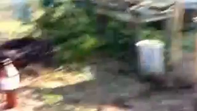 Идеи в Деталях