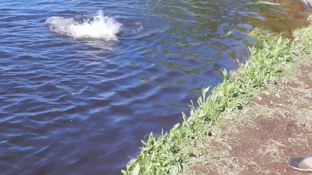 DSCN3843 смотреть онлайн