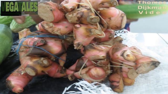 The healing power of Alpinia galanga or Greater Galanga смотреть онлайн