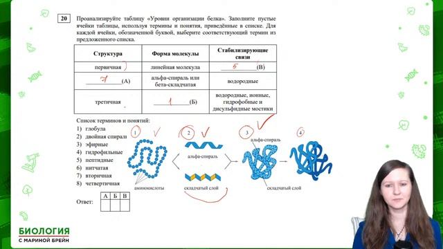 РАЗБОР РЕАЛЬНОГО ПРОБНИКА ЕГЭ ПО БИОЛОГИИ 2021 от Статграда смотреть онлайн