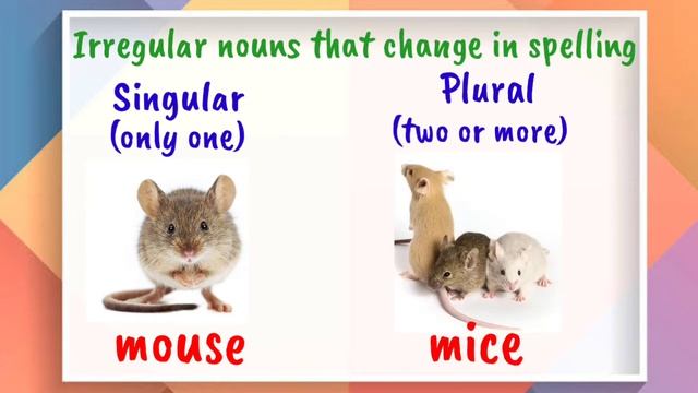 Plural Forms Of Irregular Nouns