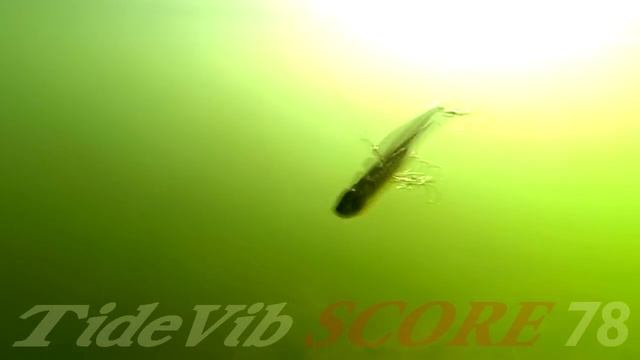 DUO`s Lures in Motion #27: Tide Vib Score 78 смотреть онлайн