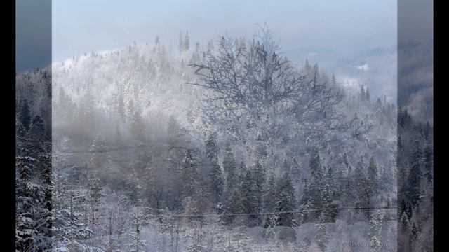 Зимні краєвиди Закарпаття. Село Сянки. Підпишись, підтримай рідне. смотреть онлайн