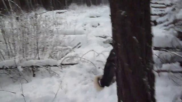 Матёрый соболь смотреть онлайн