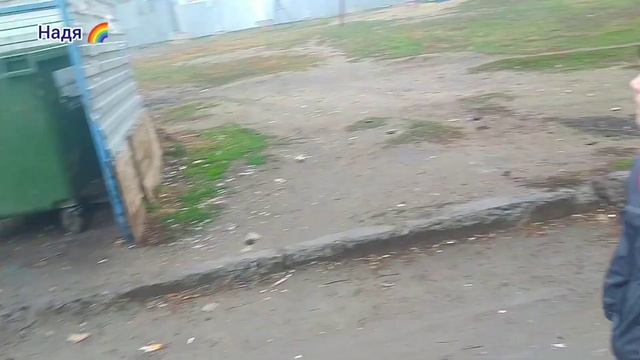 ВЛОГ: НА ДАЧЕ, ЧУТЬ НЕ ОБМАНУЛИ, ДЕНЬ РОЖДЕНИЯ АНДРЮШИ, КОГДА ОТПУСК, ПРОГУЛКИ С НАМИ) смотреть онлайн