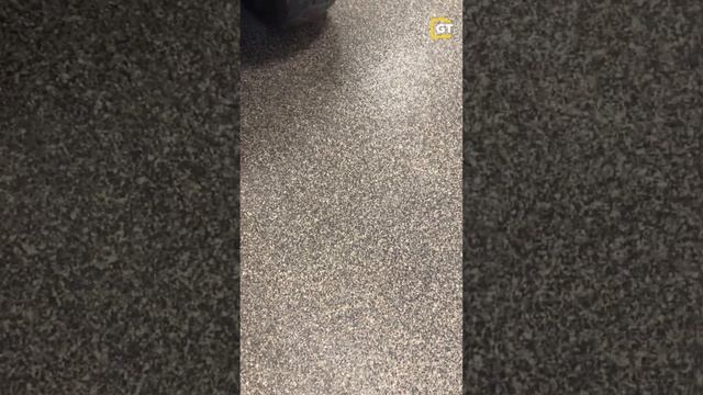 Вот это да! Полимерный пол в гараже спустя 5 лет