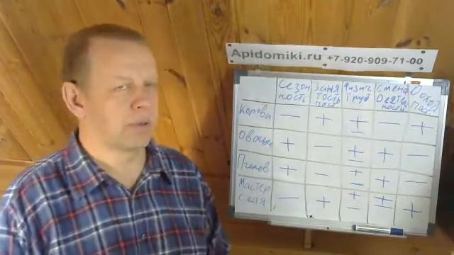 Выбираем направление бизнеса на земле. смотреть онлайн