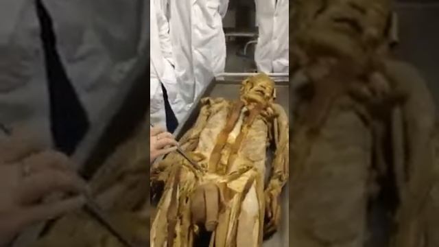 Мышцы 4 смотреть онлайн