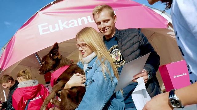 EUKANUBA Кросс Быстрый пес смотреть онлайн