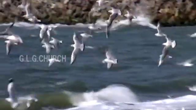 Bible Songs - Psalms 13 : 1,2,3 смотреть онлайн