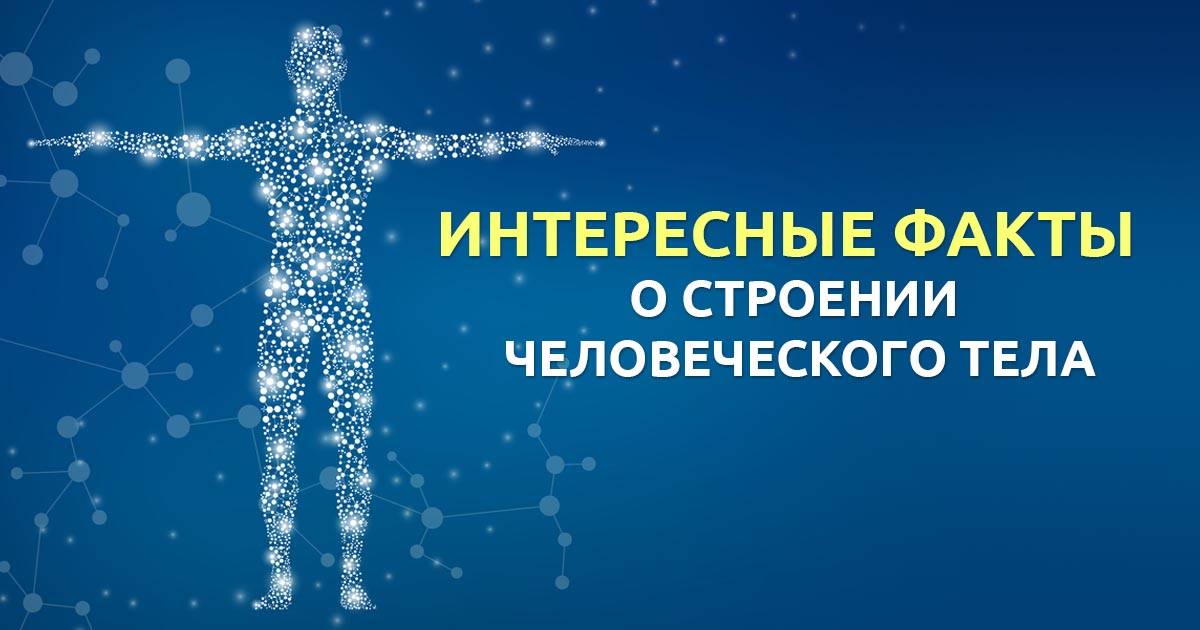 А вы знали? 50 фактов о нашем теле
