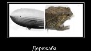 ТРАНСПОРТ+ШИЗА