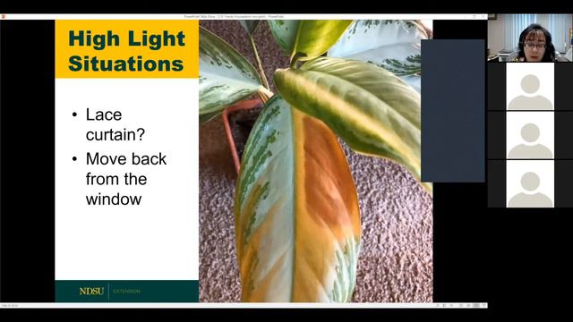 Field to Fork 2019: Trendy and Healthy Houseplants смотреть онлайн