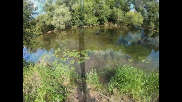 Колебло против воблеров р Пахра смотреть онлайн