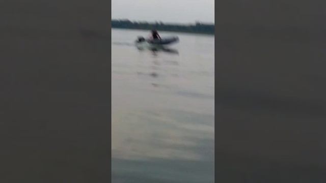 Скачки на лодке Гольфстрим 365 и мотор Гольфстрим 9.9 смотреть онлайн