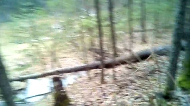 Охота на бобра. смотреть онлайн