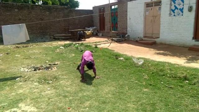 Monkey stunt(2) смотреть онлайн