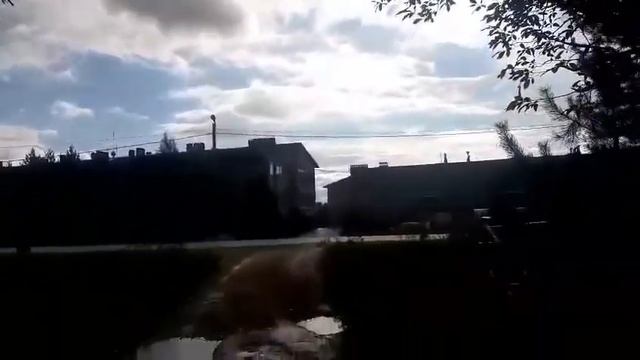 красота. пошехонье. смотреть онлайн