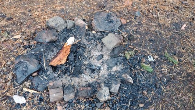 Лесная братва: Проблемы нашего леса. Школа 100 (Нижний Тагил) Медиатон-2022 тур 1 смотреть онлайн