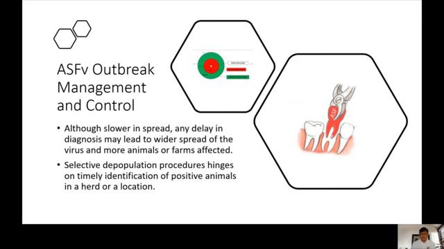 Pinoy Pork Challenge - ASFV Detection using cPCR смотреть онлайн