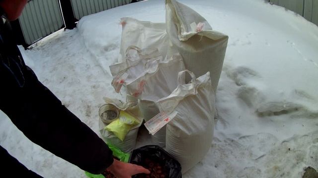 Как сэкономить на корме для птиц. Сколько корма едят фазаны в месяц. Дорого ли содержать фазанов смотреть онлайн