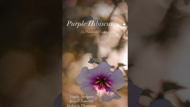 Purple Hibiscus Podcast. смотреть онлайн