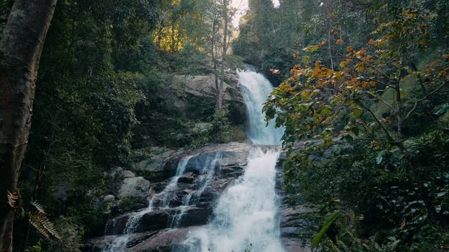 Relaxing Zen Music With Water Sounds • Peaceful Ambience For Spa, Yoga And Relaxation
