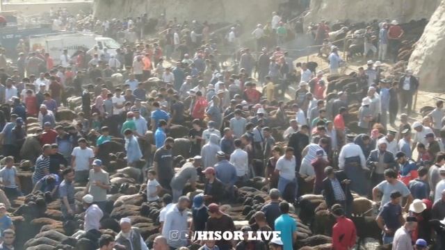 Молбозори Шахри Хисор 2020