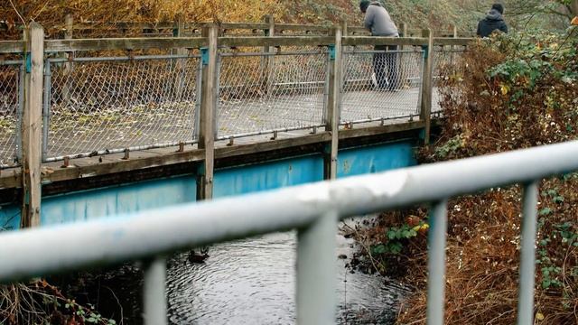 Vancouver's Rain City Strategy смотреть онлайн