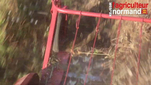 Подборщик зерновой ПЗ-3,4-3 во Франции смотреть онлайн
