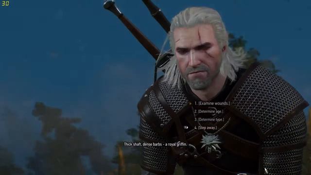 Witcher 3 Wild Hunt Part 2 смотреть онлайн