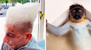 Популярное из Тик Ток (98 часть)