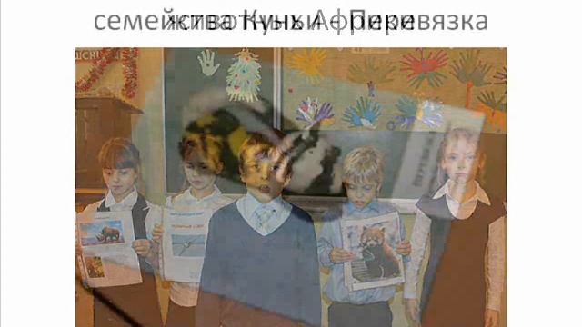 Рождественские чтения смотреть онлайн