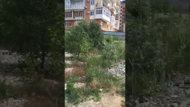Земельный участок 0,25 Га ул. Бытха Хостинский район Сочи смотреть онлайн