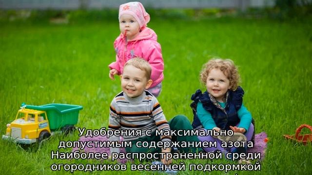 Удобрение для газона: описание, виды подкормки смотреть онлайн
