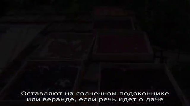 Сколько времени и как сушить малину в духовке и других электроприборах правильно