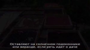 Сколько времени и как сушить малину в духовке и других электроприборах правильно