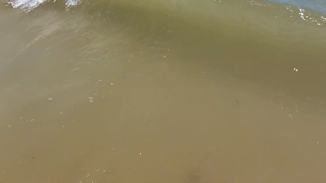 Медузы, Божьи Коровки, Блохи и Комары Федотова Коса Кирилловка 15 Июля смотреть онлайн