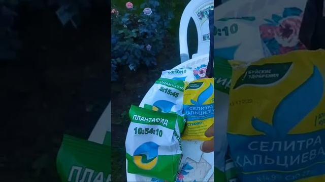 #СамСебеАгроном и #прямойэфир пря.#дача #огород #сад #садиогород #полезныесоветы #ответынавопросы смотреть онлайн