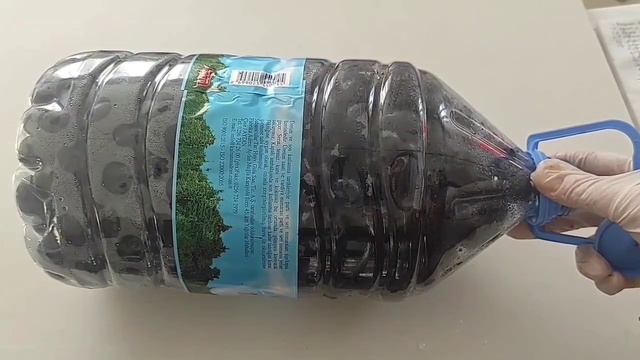 Zeytin Nasıl Kurulur ve Tatlandırılır | Bu Yöntemle Asla Bozulmayan Ev Yapımı Zeytin смотреть онлайн