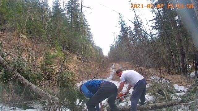 Метаи. Нива на цепях.Работа в тайге. смотреть онлайн