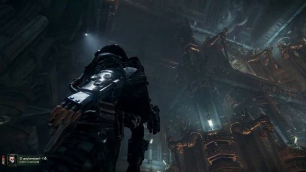 Warhammer 40,000: Darktide ALL Imperium Edition Skins!