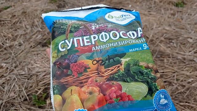 Весенняя обработка и подкормка клубники // ⁉️Только мой опыт ⁉️ смотреть онлайн