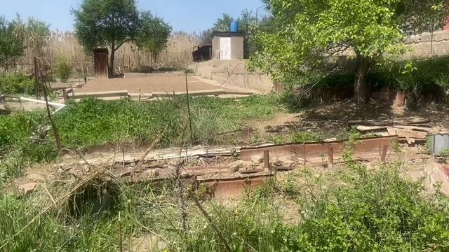 КУПИЛИ СТАРУЮ ДАЧУ. Очистила крыжовник. смотреть онлайн