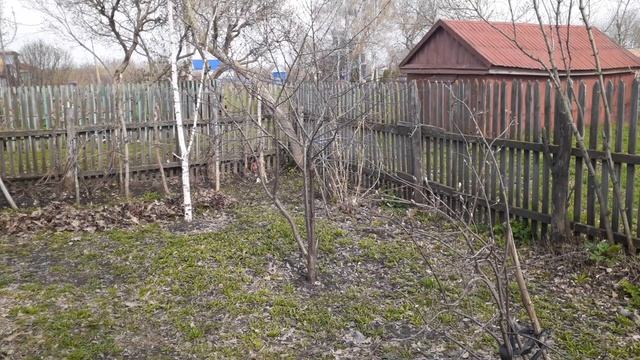 #42 Дела весенние.Весенняя уборка огорода. Видео смотреть онлайн
