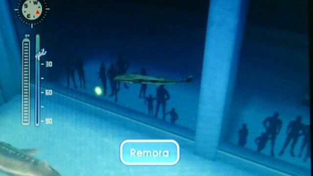 Endless Ocean 2: Blue World: Fish! смотреть онлайн