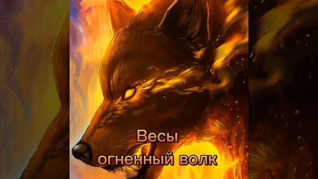 Какой ты волк по знаку зодиака??? смотреть онлайн