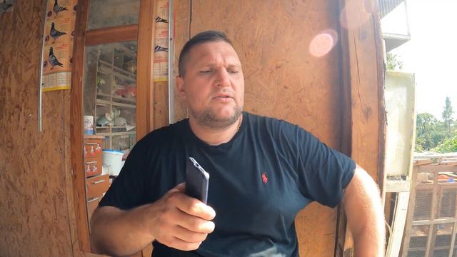 #13lot 🏁 LUNEBURG 270 km - SZYBKI PRZYLOT MŁODYCH GOŁĘBI 😁🕊 Zbigniew Rodak PZHGP 0309 Szczecin смотреть онлайн